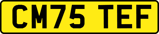 CM75TEF