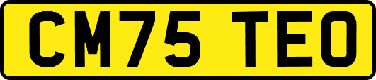 CM75TEO
