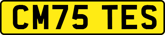 CM75TES