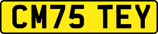 CM75TEY