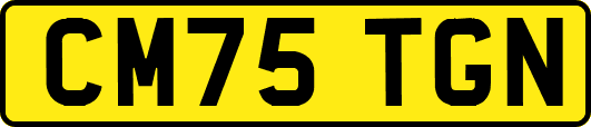 CM75TGN