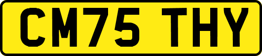 CM75THY