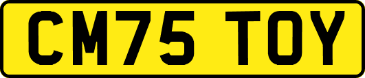 CM75TOY