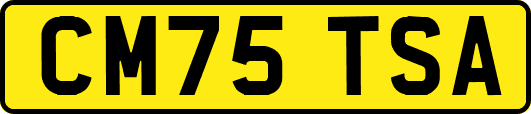 CM75TSA
