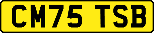 CM75TSB