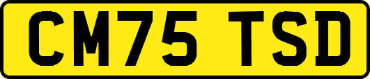 CM75TSD