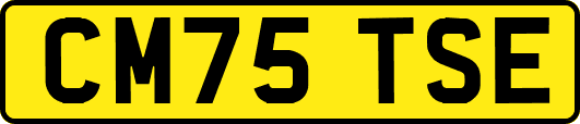 CM75TSE