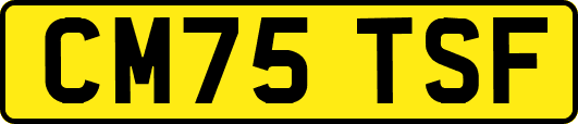 CM75TSF