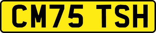 CM75TSH