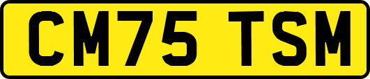 CM75TSM