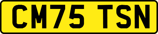 CM75TSN