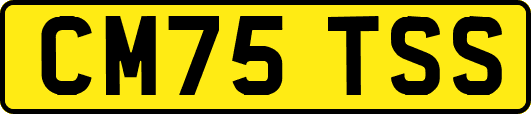 CM75TSS
