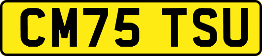 CM75TSU