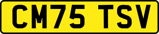 CM75TSV