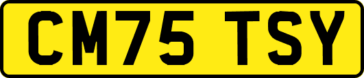 CM75TSY