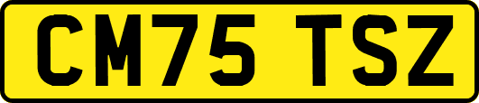 CM75TSZ