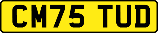 CM75TUD