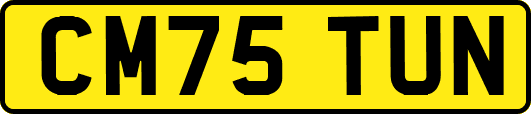 CM75TUN