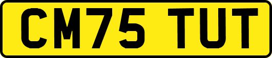 CM75TUT