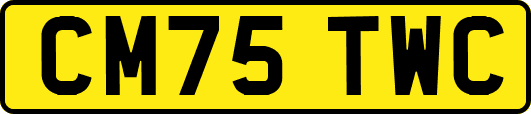 CM75TWC