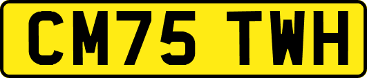 CM75TWH