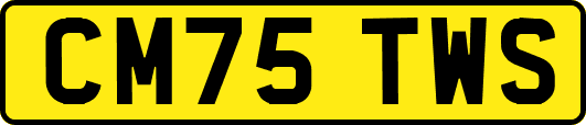 CM75TWS