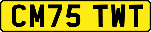 CM75TWT