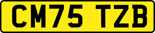 CM75TZB