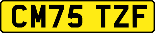 CM75TZF