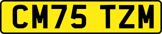 CM75TZM