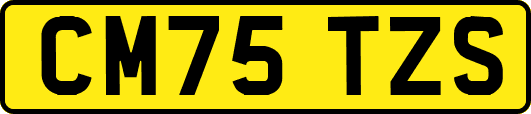 CM75TZS
