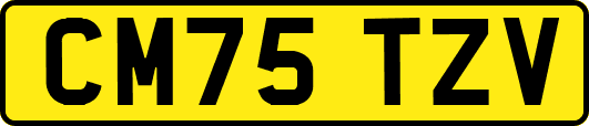 CM75TZV