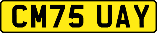 CM75UAY