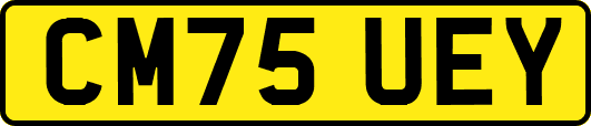 CM75UEY