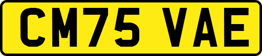 CM75VAE