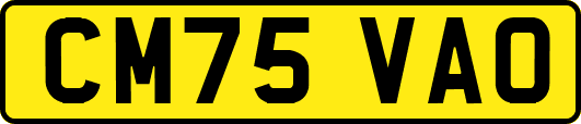 CM75VAO