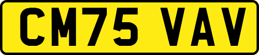 CM75VAV