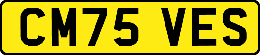 CM75VES