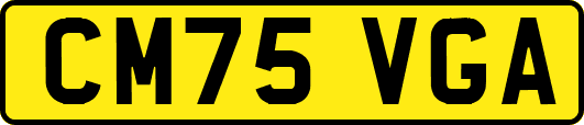 CM75VGA