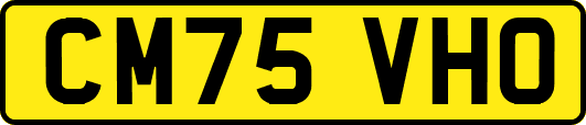 CM75VHO