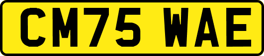 CM75WAE