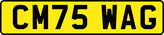 CM75WAG