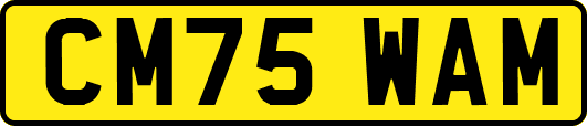 CM75WAM