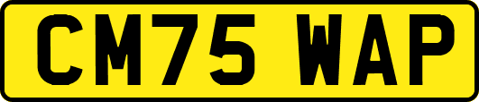 CM75WAP