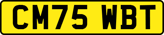 CM75WBT