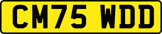 CM75WDD