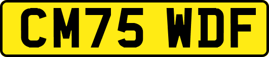CM75WDF
