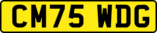 CM75WDG