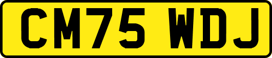 CM75WDJ