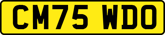 CM75WDO